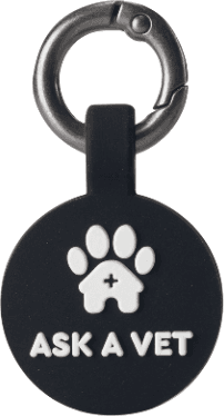 Round Black Smart ID Tag